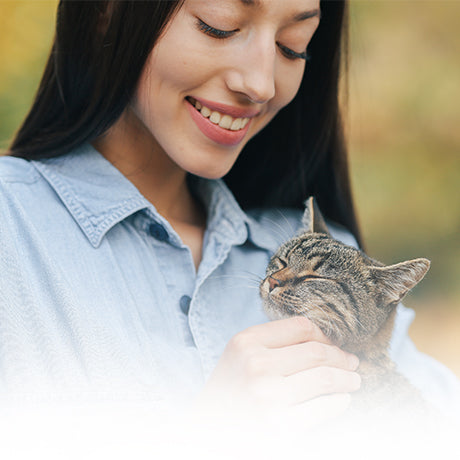 Toltrazuril Cats - Toltrazuril.com